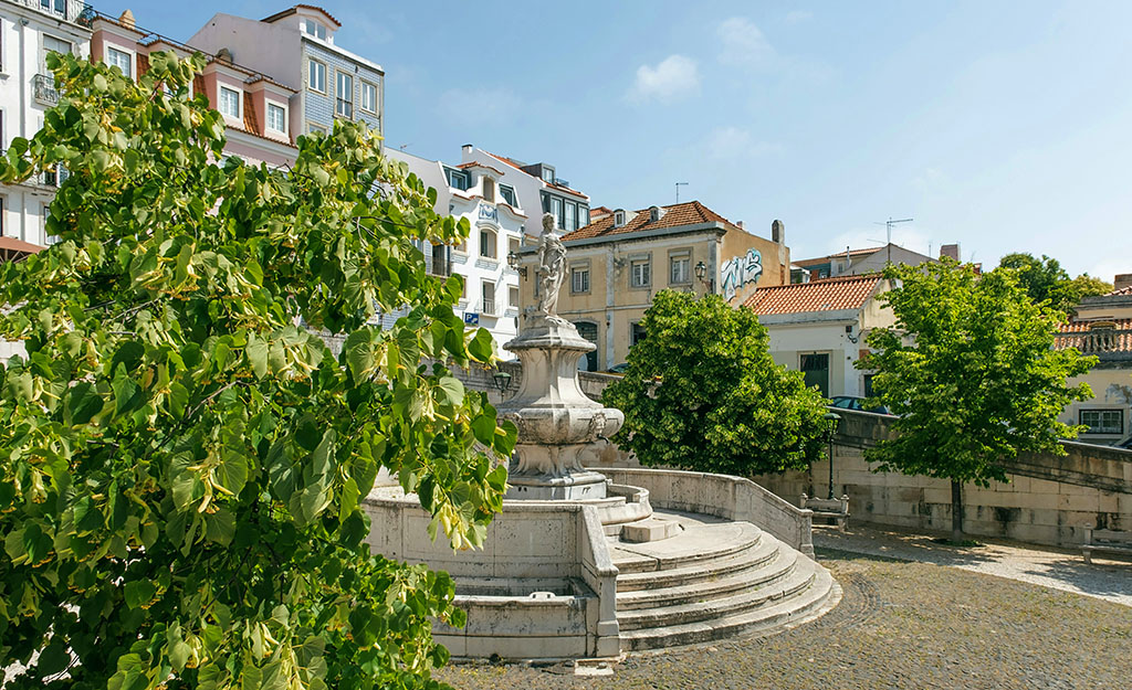 A place with trees in Lisbon