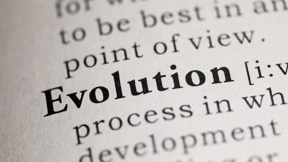 M3-U1-L2-A Text evolution