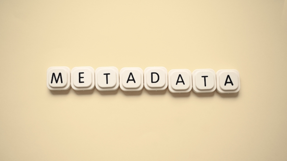 M3-U3-L2-A Texto 'Metadados'