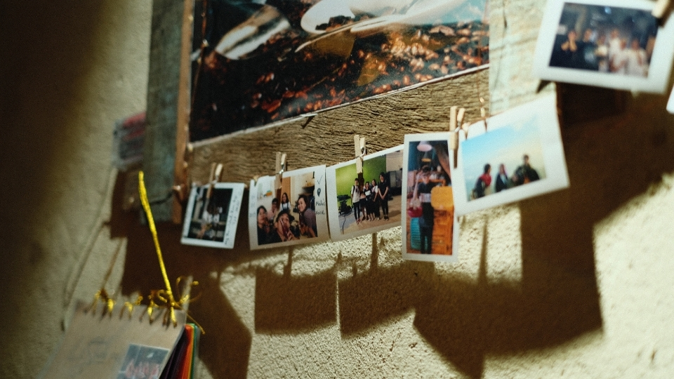 M3-U3-L2-E Coleção de imagens